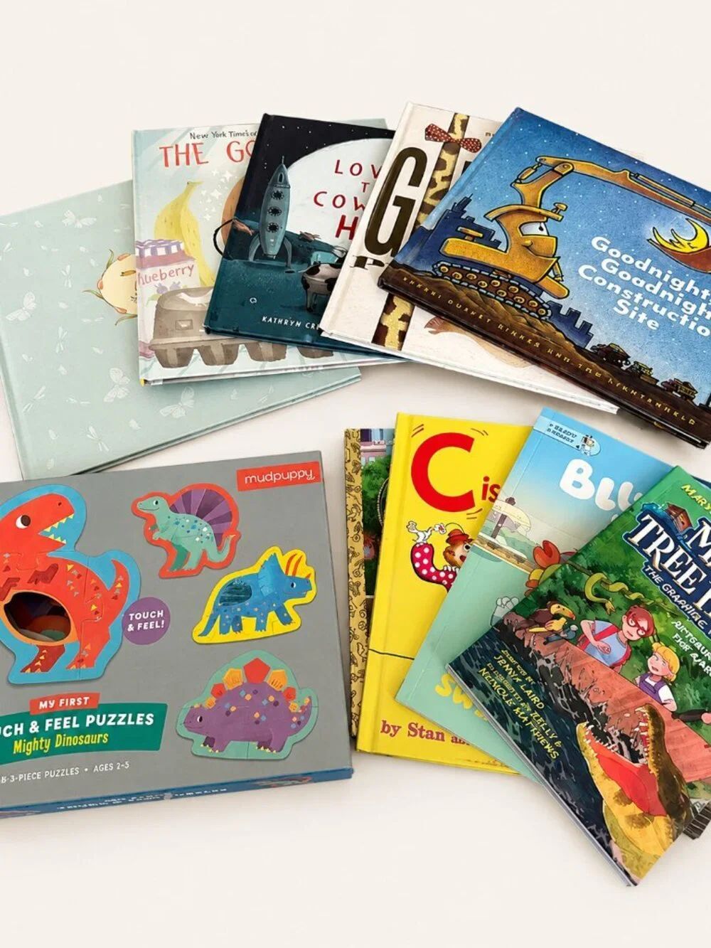 Kids Book Bundle & Dinosaur Puzzle Lot Ages 2-8 | Homeschool Preschool l Gifts